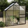 Greenhouse Anthracite Aluminum 14.3 ft¬≤