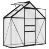 Greenhouse Anthracite Aluminum 14.3 ft¬≤