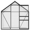 Greenhouse Anthracite Aluminum 14.3 ft¬≤